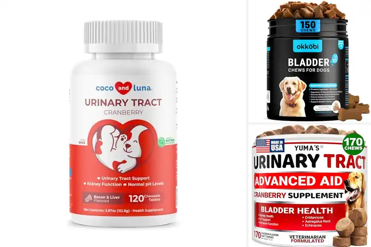 Detailed view of Best Bladder Support Supplements For Dogs