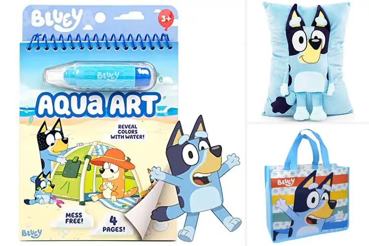 Detailed view of Best Bluey Merchandise: 10 Joyful Finds for Fans