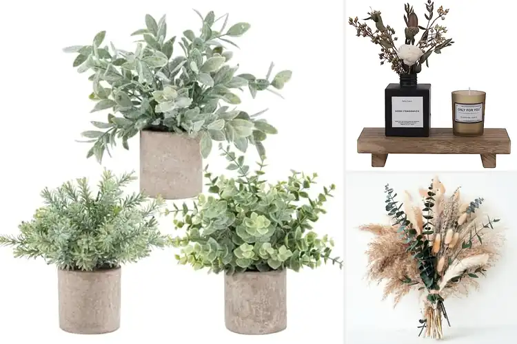 Detailed view of Best Decorative Accessories