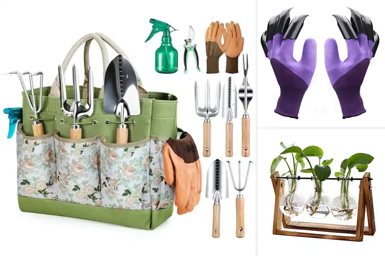 Detailed view of Best Garden Gift For Women: 10 Inspiring Ideas