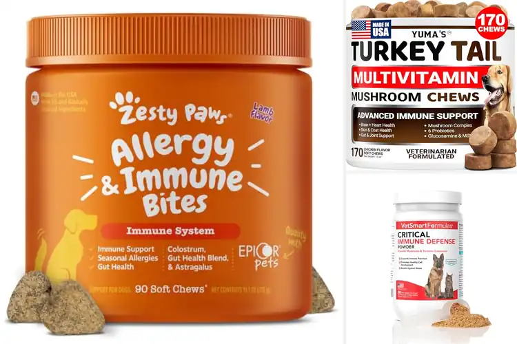Detailed view of Best Immune Boosters For Dogs: 10 Safe & Effective Options