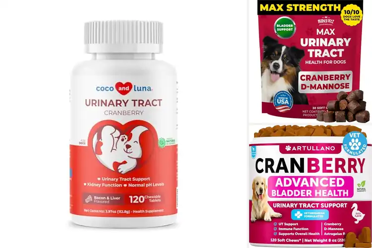 Detailed view of Best Natural Cranberry Supplements For Dogs