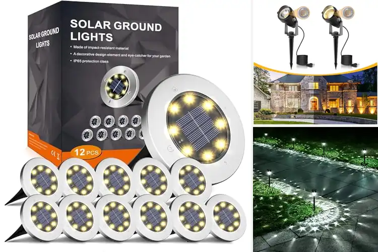Detailed view of Best Night Time Garden Lighting