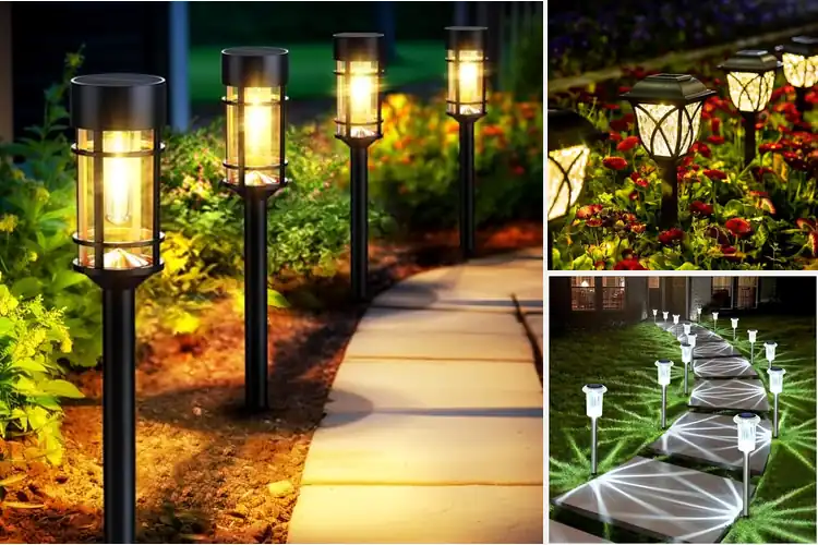 Detailed view of Best Solar-Powered Garden Lights