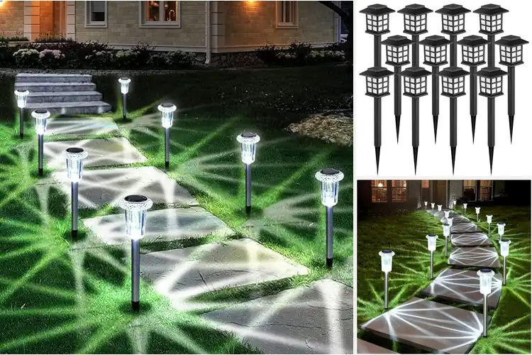 Detailed view of Best Solar Powered Yard Lights