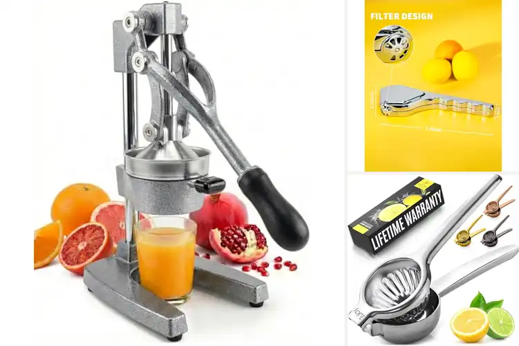 Detailed view of Best Stainless-Steel Juicers