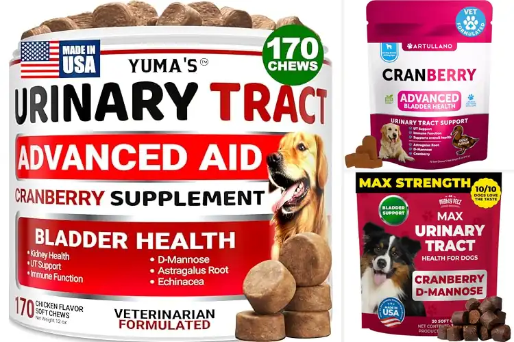 Detailed view of Best UTI Treats For Dogs