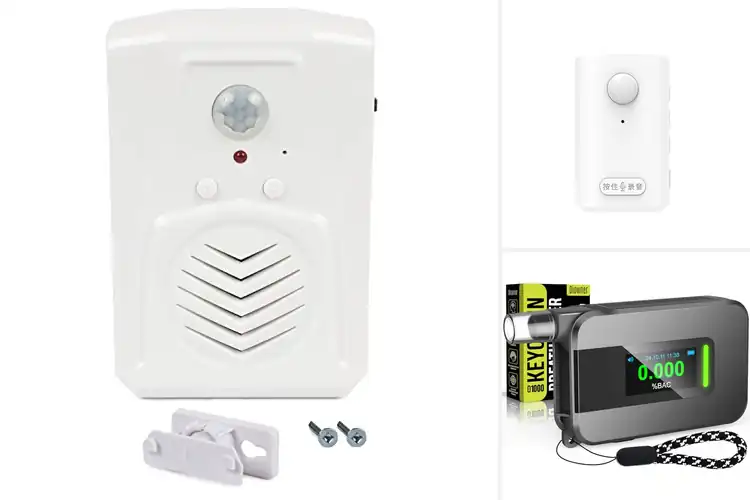 Detailed view of Best Voice Alerts